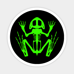 Frog Skeleton (Green) Magnet